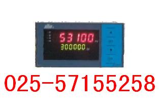 DY2000（HP）高速脉冲输入变送控制数字显示仪表